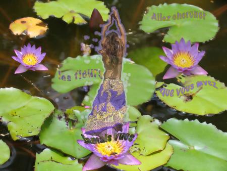 ALLEZ CHERCHER LES FLEURS QUE VOUS N'AVEZ JAMAIS VUES